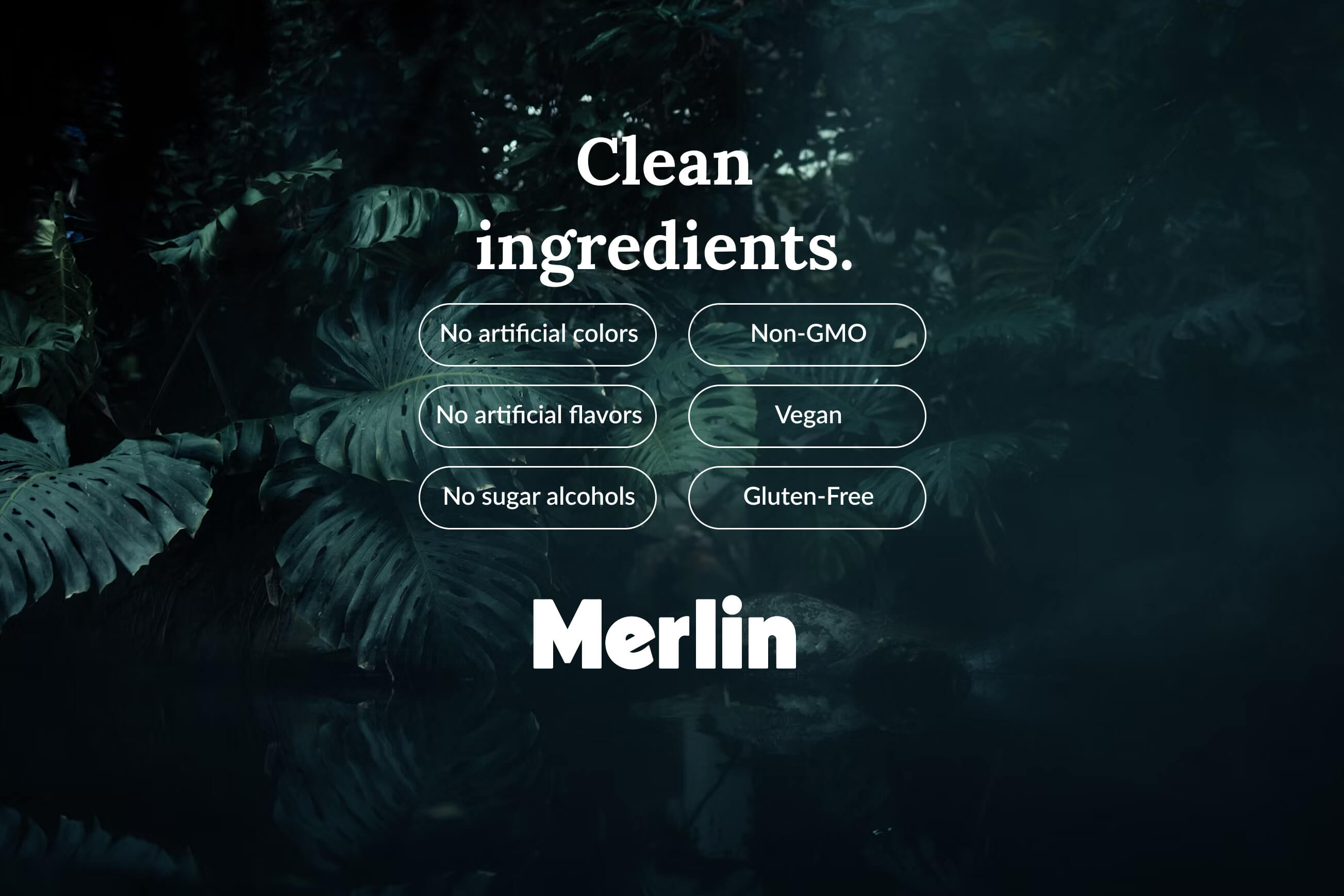 Clean ingredients - no artificial colors, no artificial flavors, no sugar alcohols, non-GMO, vegan, gluten-free.